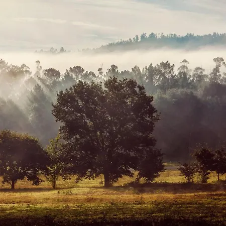 Mu_moradas No Ulla Teo